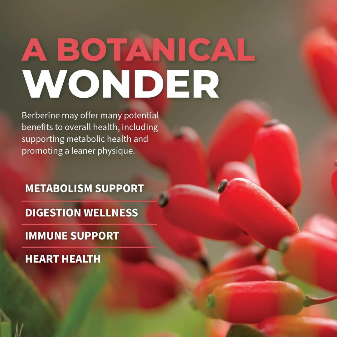 Supplément de berbérine 