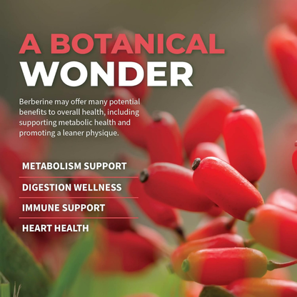 Supplément de berbérine 