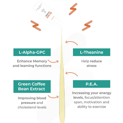 revitaliser le cerveau